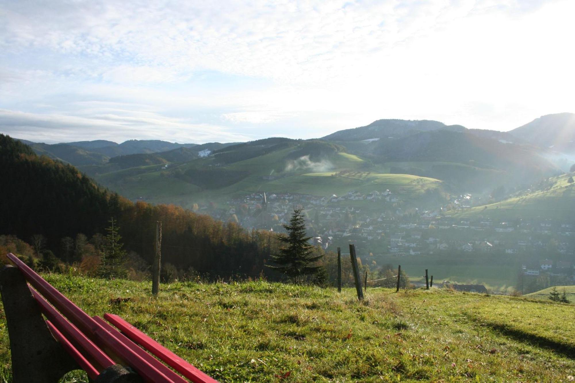 Ferienwohnungen Golla-Lang Oberharmersbach Exterior foto
