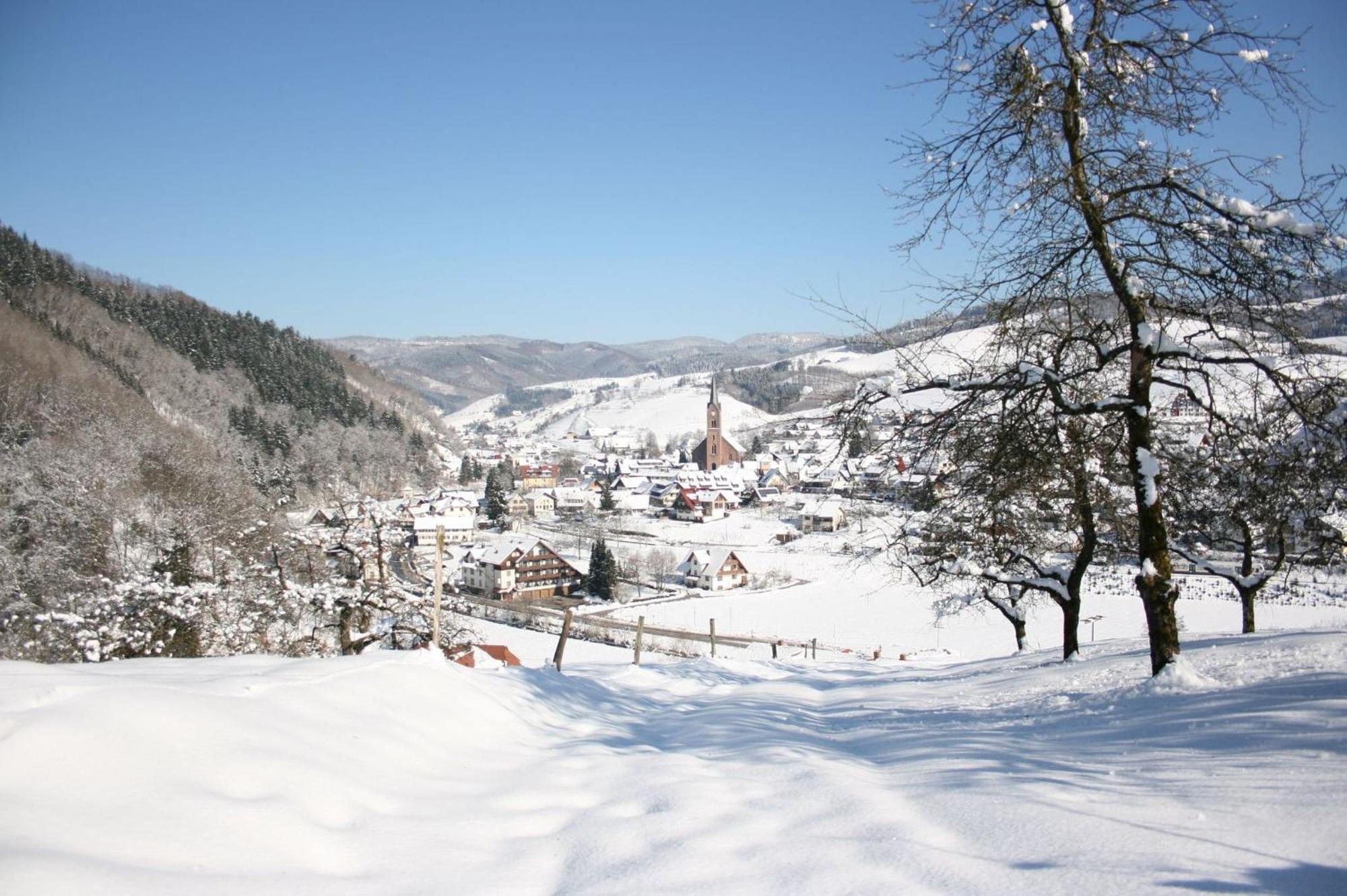 Ferienwohnungen Golla-Lang Oberharmersbach Exterior foto